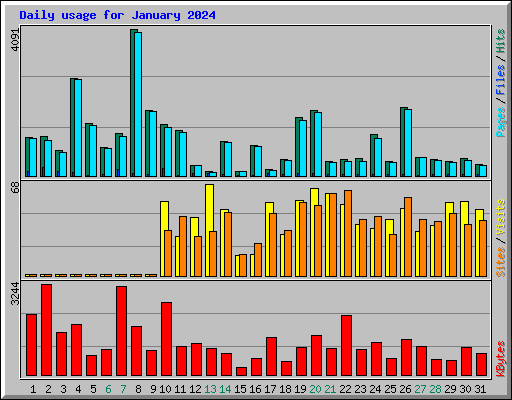 Daily usage for January 2024