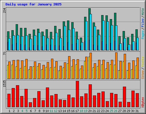 Daily usage for January 2025