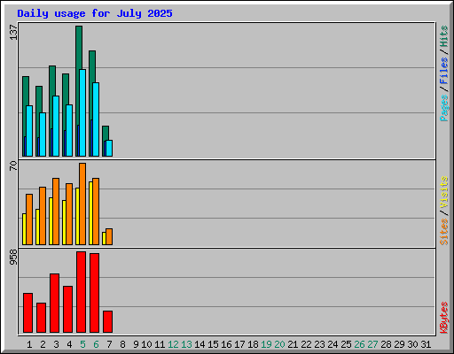 Daily usage for July 2025