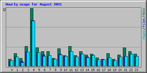 Hourly usage for August 2021