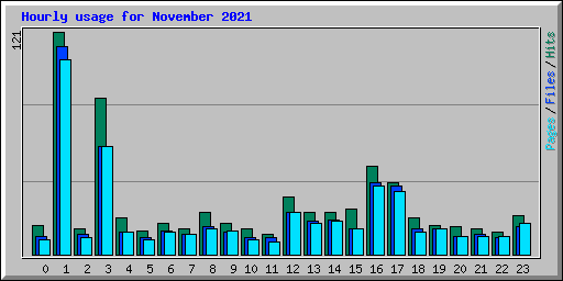 Hourly usage for November 2021