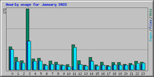 Hourly usage for January 2022