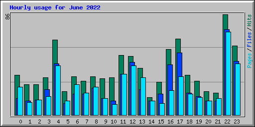 Hourly usage for June 2022