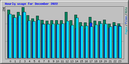 Hourly usage for December 2022
