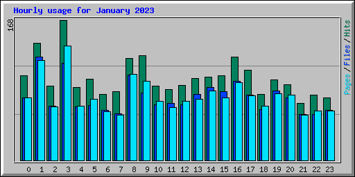 Hourly usage for January 2023