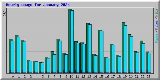 Hourly usage for January 2024