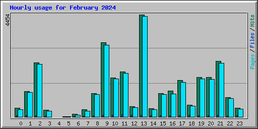 Hourly usage for February 2024