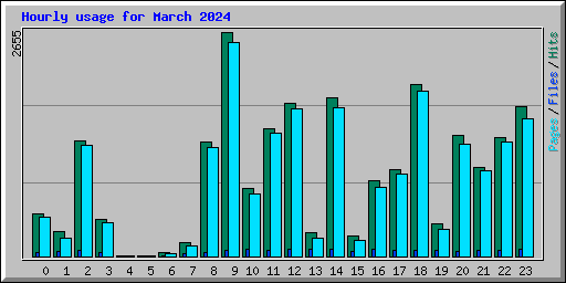 Hourly usage for March 2024