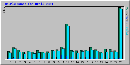 Hourly usage for April 2024