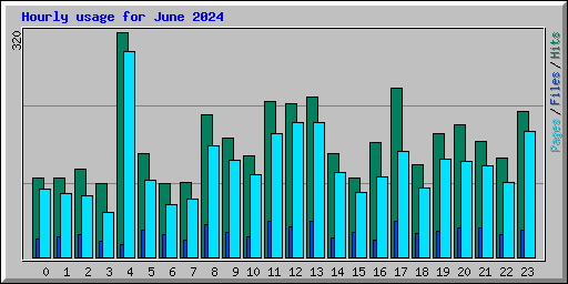 Hourly usage for June 2024