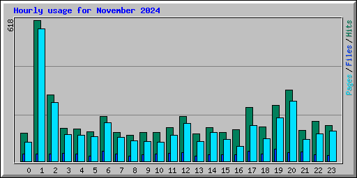 Hourly usage for November 2024
