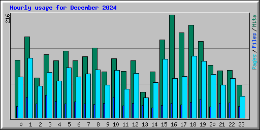 Hourly usage for December 2024