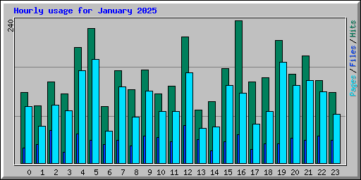 Hourly usage for January 2025