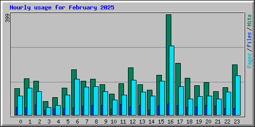 Hourly usage for February 2025