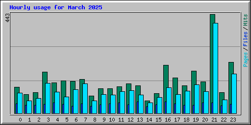 Hourly usage for March 2025