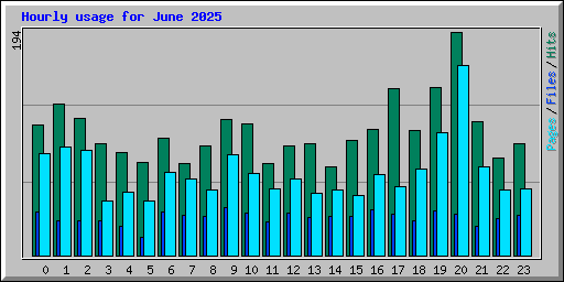 Hourly usage for June 2025