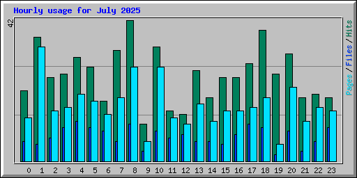 Hourly usage for July 2025
