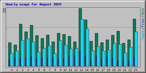 Hourly usage for August 2025