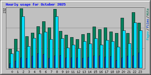 Hourly usage for October 2025