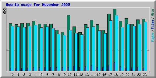 Hourly usage for November 2025