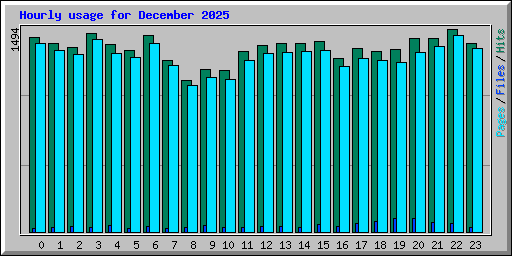 Hourly usage for December 2025