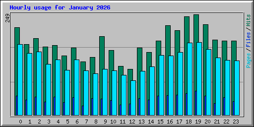 Hourly usage for January 2026