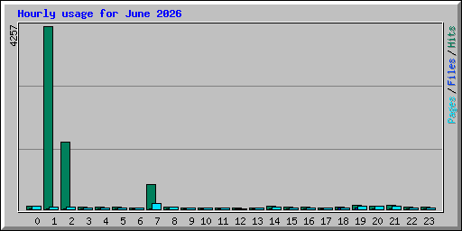 Hourly usage for June 2026