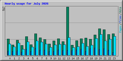 Hourly usage for July 2026